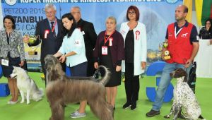 Ankara'nın Tek Pet Fuarı Eylül’de Başlıyor