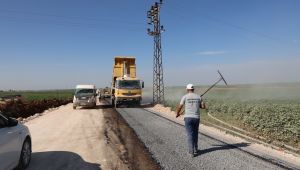 Başkan Beyazgül Viranşehir İlçesinde Devam Eden Yol Çalışmalarını İnceledi