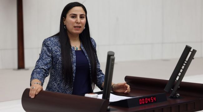 Şanlıurfa Milletvekili SÜRÜCÜ, Hilvan Sulama Konusunu Meclise taşıdı