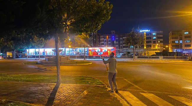 Siverek’te ağaçlar hastalıklara karşı ilaçlanıyor