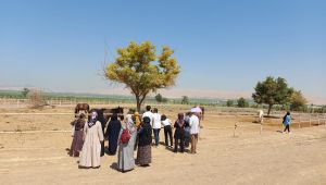 Toplum Ruh Sağlığı Merkezi (TRSM) Hastaları Göbeklitepe At Çiftliğine Gitti