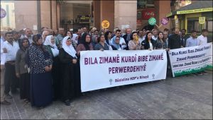 Şanlıurfa'da Kürtçe için çağrı: Anayasal güvence altına alınmalı