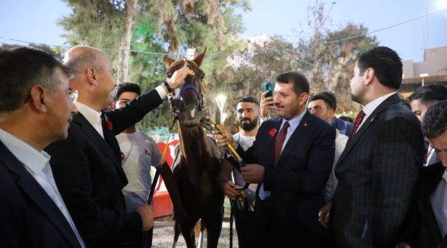 Vali Ayhan Bakan Soylu’ya yarış atı hediye etti