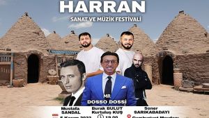 Harran'da sanat ve müzik festivali düzenlenecek