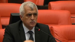 Ömer Faruk Gergerlioğlu, Viranşehir olayını meclise taşıdı