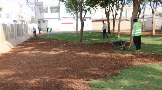 Parklarda çimlendirme çalışmaları devam ediyor