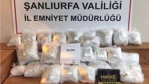 Şanlıurfa'da dev operasyon! 20 kg Skunk ele geçirildi