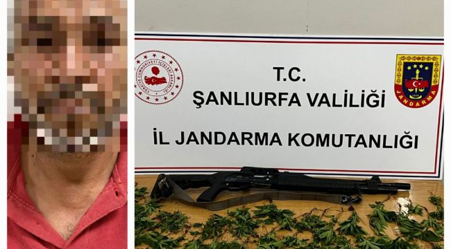 Şanlıurfa İl Jandarma ülkeye kaçak girenlere fırsat vermiyor 