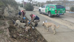 Eyyübiye’den sokak hayvanlarına yönelik yemleme faaliyeti