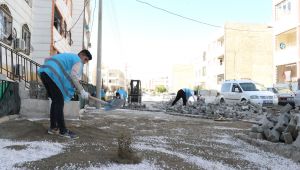 Haliliye'de Üstyapı Çalışmaları Merkez Mahallelerde Sürüyor