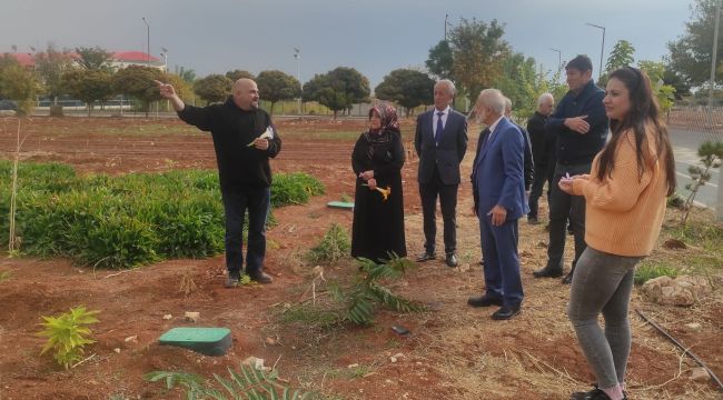 Harran Üniversitesi Dünyanın En Değerli Baharatını Şanlıurfa’ya Yeniden Kazandırdı