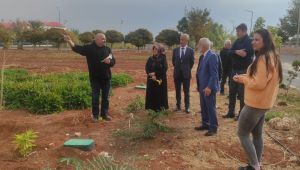 Harran Üniversitesi Dünyanın En Değerli Baharatını Şanlıurfa’ya Yeniden Kazandırdı