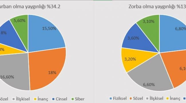 Okullarda Artan Önemli Bir Sorun: Akran Zorbalığı