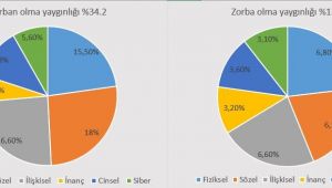 Okullarda Artan Önemli Bir Sorun: Akran Zorbalığı