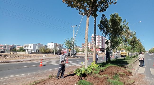 Parklarda çevre düzenleme çalışmaları sürüyor