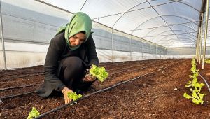 Başkan Çakmak, serada ilk sebze ürünlerinin ekimini yaptı