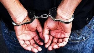 Şanlıurfa Eski İl Emniyet Müdür Yardımcısı gözaltına alındı