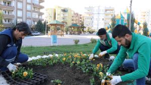 Haliliye'de Peyzaj Çalışmaları İle Parklar Yeşilleniyor