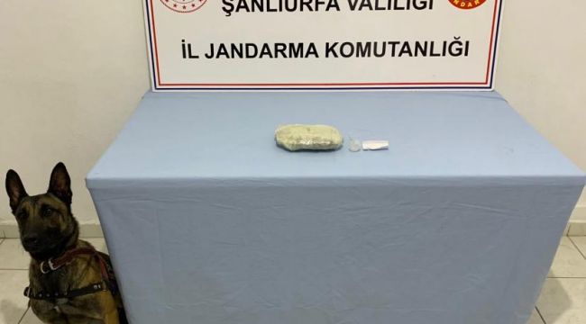 Şanlıurfa İl Jandarmadan uyuşturucu operasyonu: Çok sayıda uyuşturucu ele geçirildi