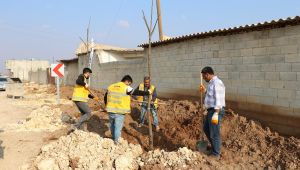 Büyükşehir’den Farklı Bölgelerde Ağaçlandırma Çalışması