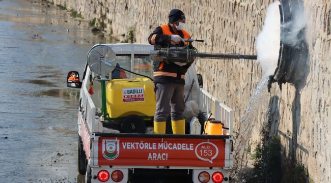 Büyükşehir Vektör İle Mücadelede İşi Sıkı Tutuyor