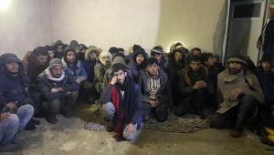 Göçmen Kaçakçılığında Başarılı Operasyon