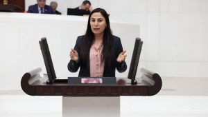 Milletvekili Sürücü Gülistan Doku konusunu meclise taşıdı: Gülistan Doku’dan 3 yıldan fazla bir süredir haber alınamıyor