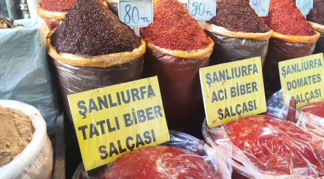 Harran Üniversitesi’nde İsot Bilimsel Teze konu oldu