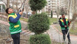 Karaköprü’de Parklarda Bakım ve Ağaç Budama Çalışmaları Yapılıyor