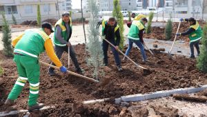 Karaköprü'de Yeni Parklar Yaza Hazırlanıyor