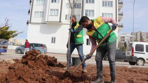 Karaköprü'de Yeşil Alan Sayısı Artıyor