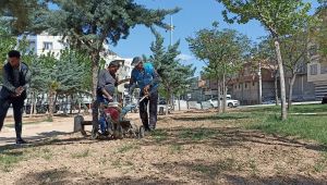 Selden Etkilenen Eyyübiye Parkları Yenileniyor