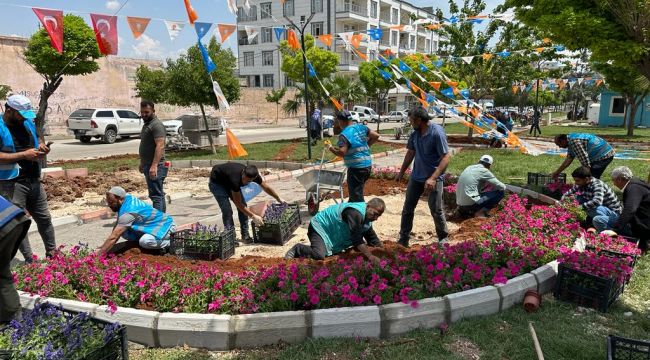 Eyyübiye Parkları Çiçeklerle Renkleniyor