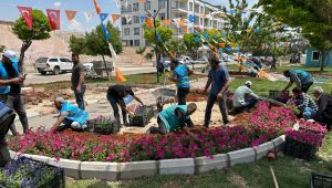 Eyyübiye Parkları Çiçeklerle Renkleniyor