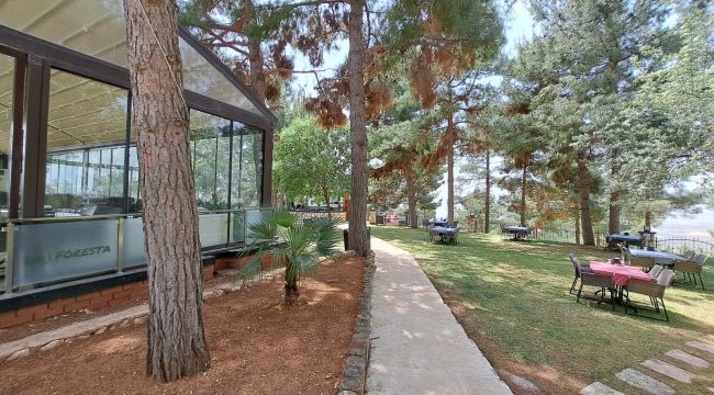 Yeni Yüzüyle LA FORESTA açıldı 