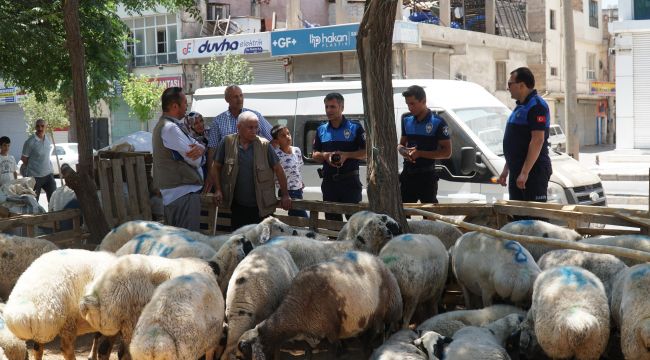 Haliliye Belediyesi Kurban Bayramında 635 Personeliyle Sahada