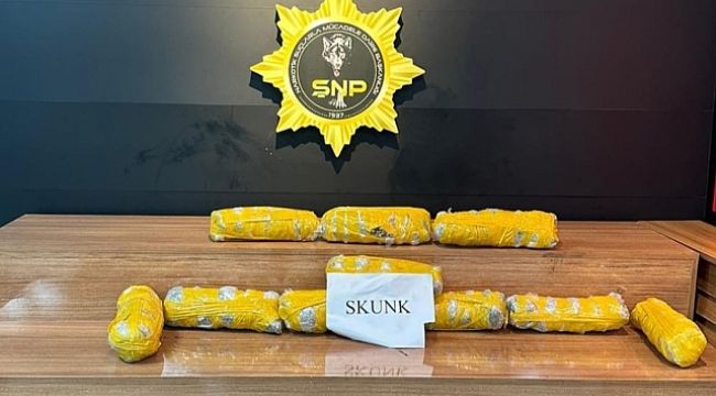 Urfa'da durdurulan bir araçta paketler halinde ele geçirildi