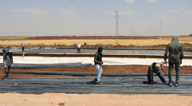 Büyükşehir Belediyesi’nden Viranşehir’e Modern Mezbaha