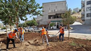 Eyyübiye Parklarında Sonbahar Çalışması