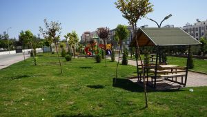 Karaköprü Belediyesi İlçede Yeşil Alan Oranını Arttırıyor