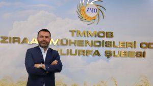 Şanlıurfa ZMO'dan Pamuk açıklaması