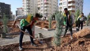 Karaköprü’de Yeni Parklar Ağaçlandırılıyor