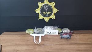 Şanlıurfa’da Skunk ele geçirildi, 3 kişi gözaltına alındı 