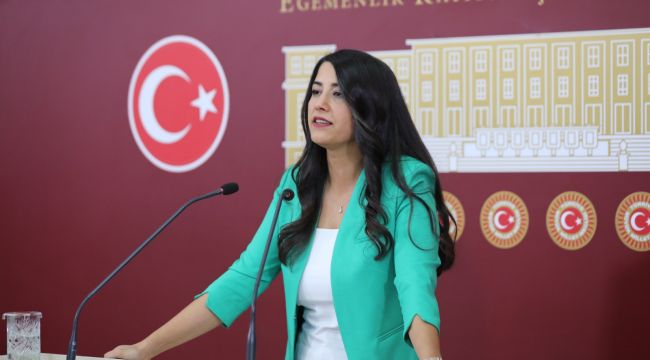 Şanlıurfa Milletvekili Dilan KUNT AYAN, Göçmen sorunlarını meclise taşıdı