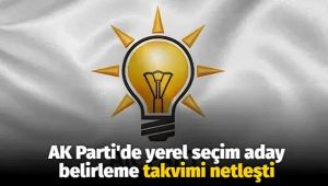 AK Parti'de yerel seçim aday belirleme takvimi netleşti