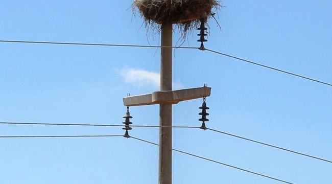 Dicle Elektrik’ten Doğal Yaşama Destek: Leylekler İçin Yuva Hazırlığında Sona Gelindi