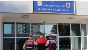 Şanlıurfa Jandarma suçlulara göz açtırmıyor, 97 kişi tutuklandı