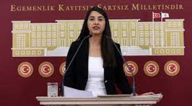 ​​​​​​​Şanlıurfa Milletvekili Ayan, Mehmet Çoban davasını meclise taşıdı
