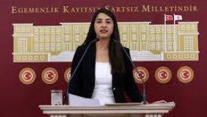 ​​​​​​​Şanlıurfa Milletvekili Ayan, Mehmet Çoban davasını meclise taşıdı