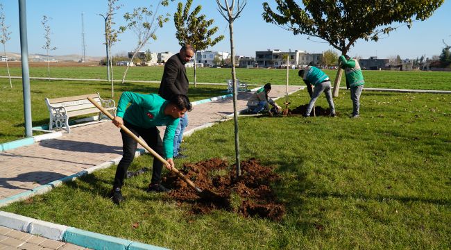 Başkan Canpolat ile Haliliye Belediyesi Üretime Devam Ediyor